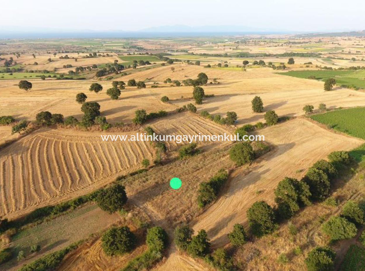 4500M2 Feld Zum Verkauf In Canakkale Biga Sinekci Bucht