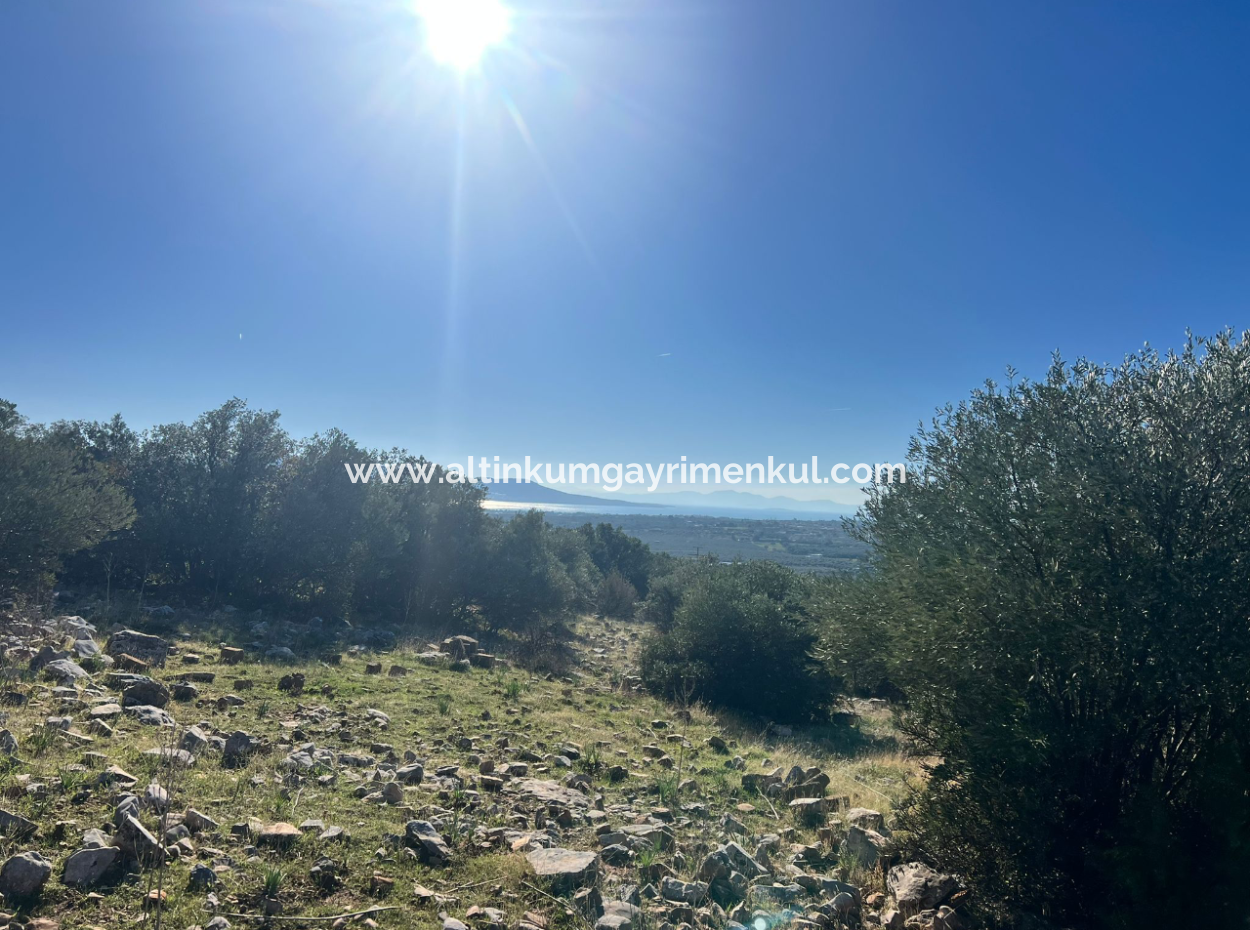 Grundstück Mit Meerblick Zum Verkauf In Didim Fevzipaşa