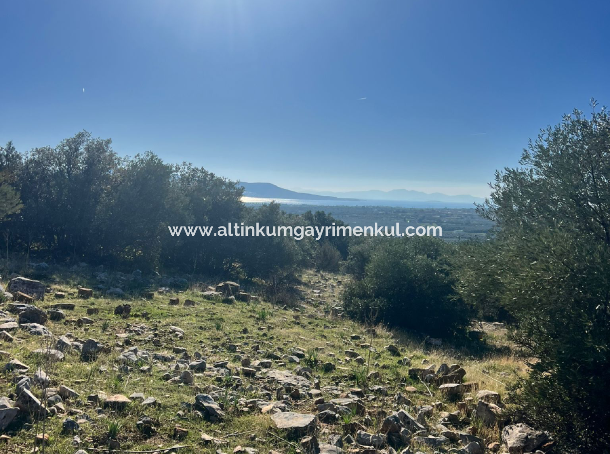 Grundstück Mit Meerblick Zum Verkauf In Didim Fevzipaşa