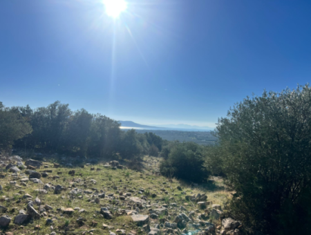 Grundstück Mit Meerblick Zum Verkauf In Didim Fevzipaşa