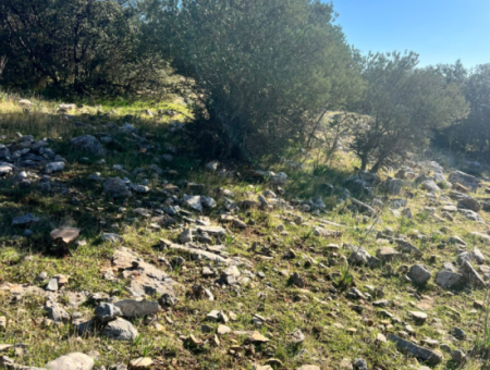 Grundstück Mit Meerblick Zum Verkauf In Didim Fevzipaşa