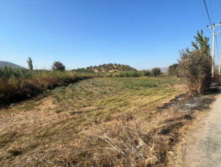 Farm Land For Sale With Milas Bafa Main Road Frontage