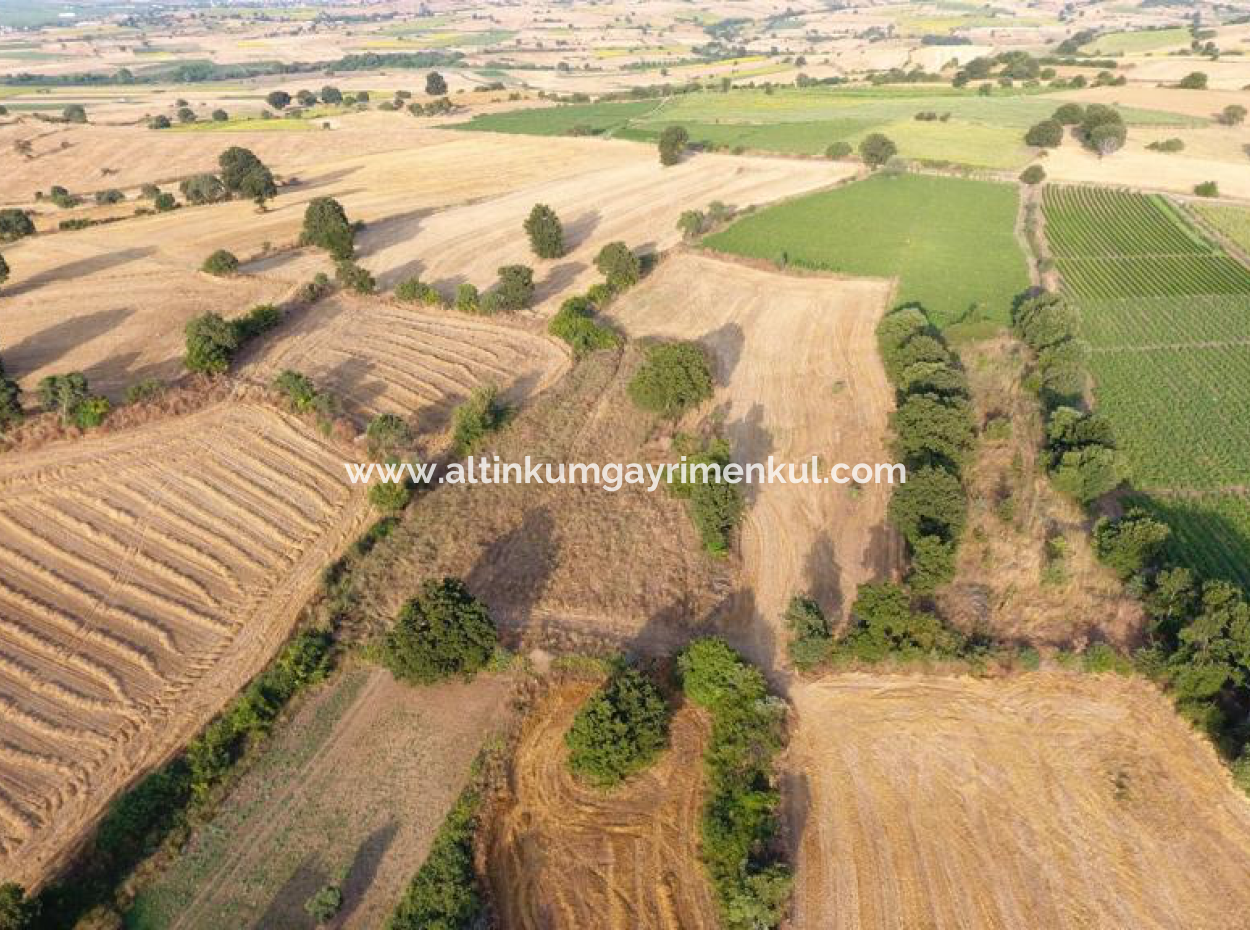 Çanakkale Biga Sinekci Köyünde Satilik 4500M2 Tarla