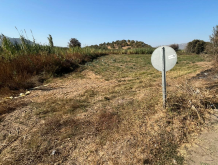 Milas Bafa Ana Yol Cepheli Satilik Çiftlik Arazisi